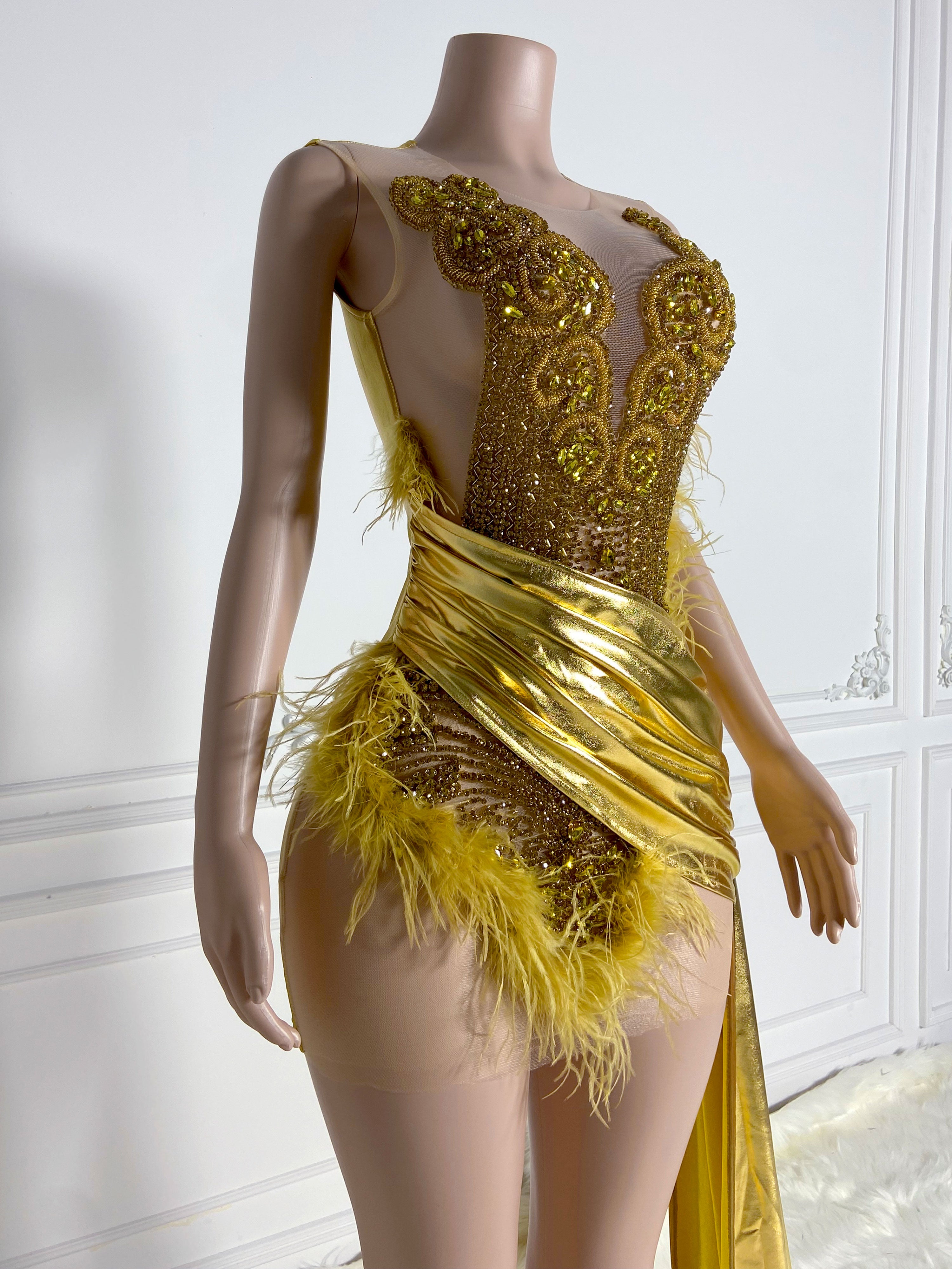 Golden Feathered Dress