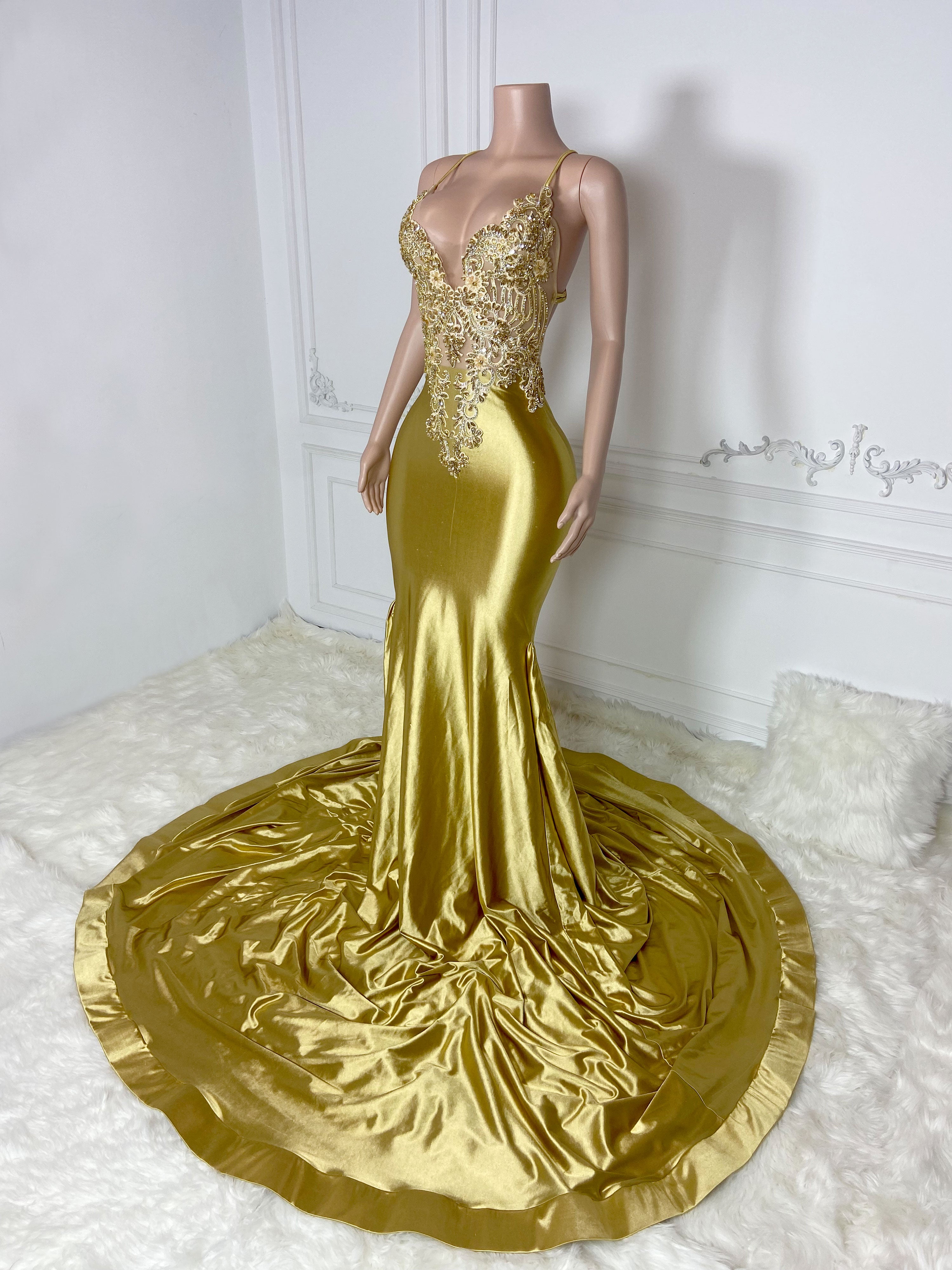 Golden V Neck Elegance Gown
