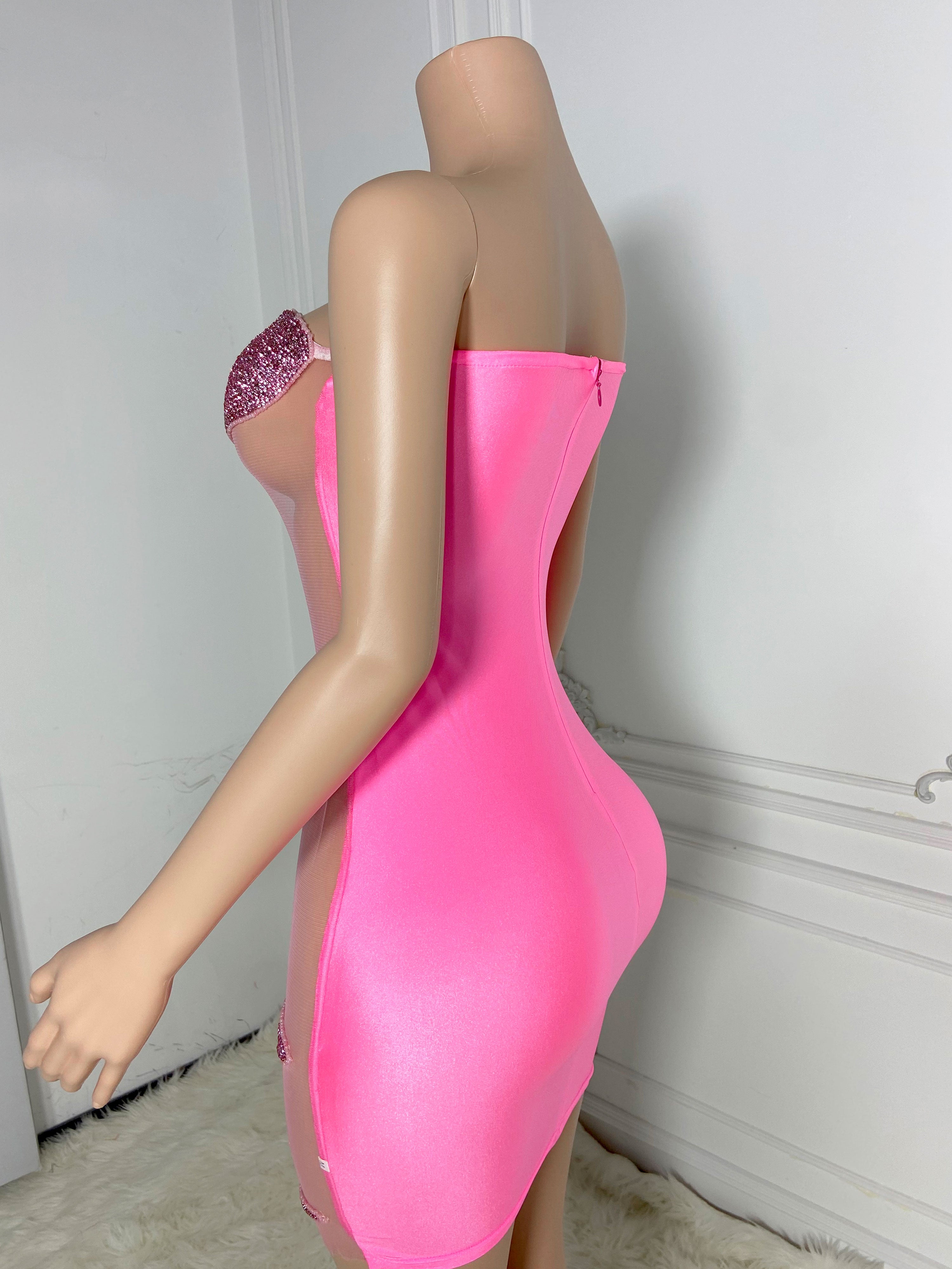 Pink Sheer Zippered Dress